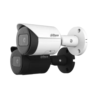 DH-IPC-HFW2441S-S